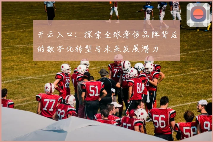开云入口：探索全球奢侈品牌背后的数字化转型与未来发展潜力
