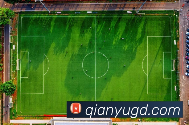 App Interface Preview