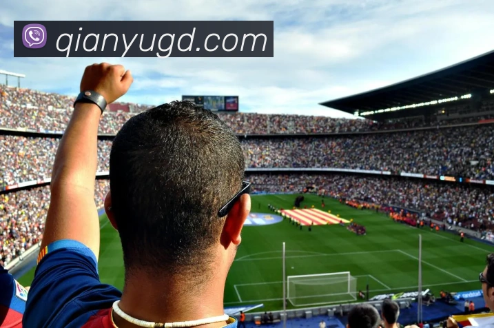 开云appAPP 封面图